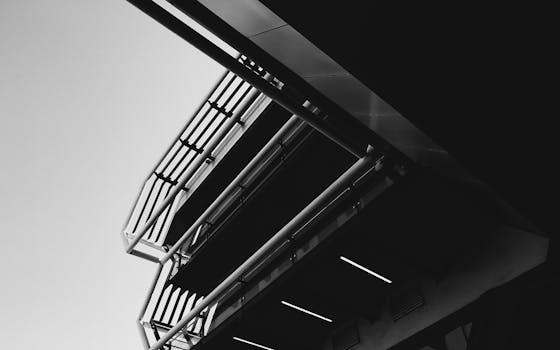 pexels-photo-14856390