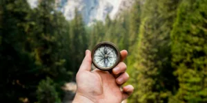 person holding compass facing towards green pine trees