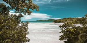 aerial photography of white sand beach during daytime