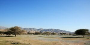 brown and green mountains under blue sky during daytime