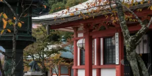 green leafed tree in front of red and white wooden house