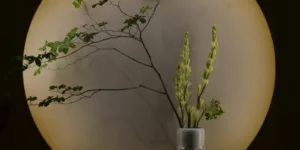 green plants in gray pot beside wall