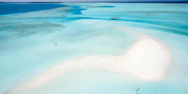 beach shore beside body of water