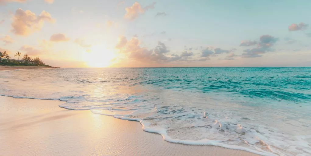 seashore during golden hour