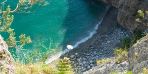 a body of water with rocks and plants around it