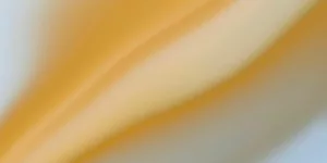 a blurry image of a yellow and white background