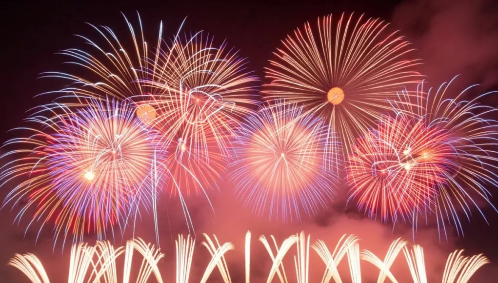 Colorful fireworks explode in the night sky.