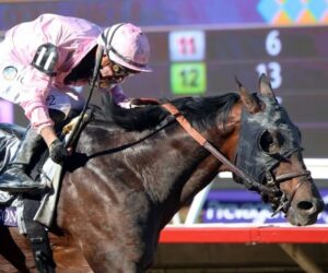 Sierra-Leones-upset-win-in-Breeders-Cup-Classic-leaves-year-end-honors-in-question