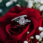photo of red rose