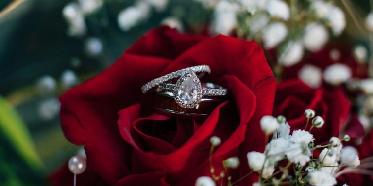 photo of red rose