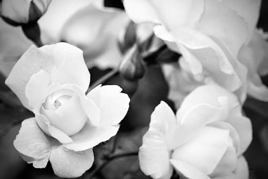 pexels-photo-13163494