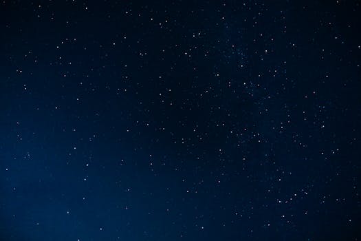 pexels-photo-10462513