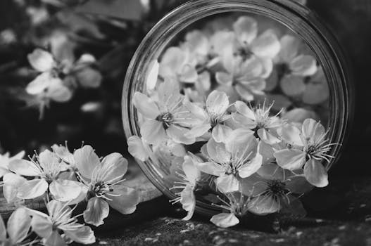 pexels-photo-12187359