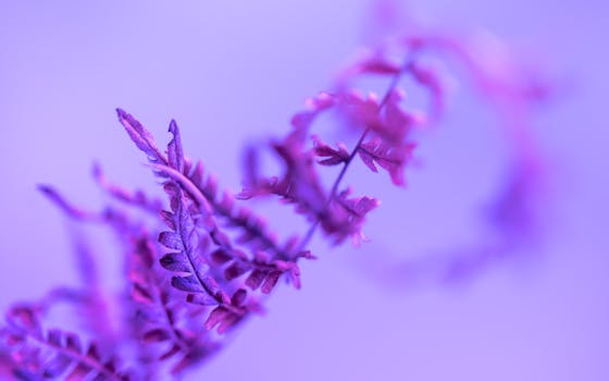 pexels-photo-15885018