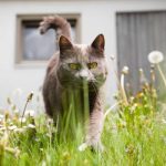 pexels-photo-16723837