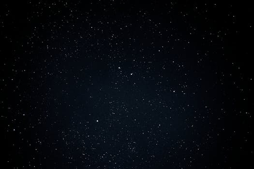 pexels-photo-17981965