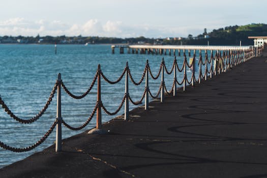 pexels-photo-18915005