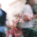 pexels-photo-19145699