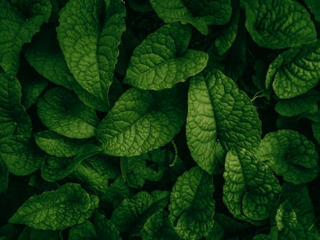 pexels-photo-19212126