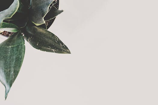pexels-photo-1931154