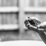 pexels-photo-19416761