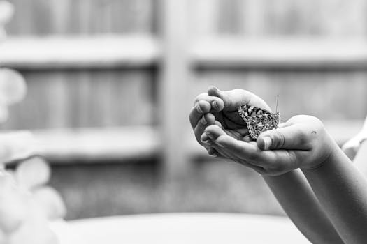 pexels-photo-19416761