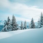 pexels-photo-19727174