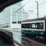 pexels-photo-26241914