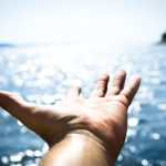 pexels-photo-296282