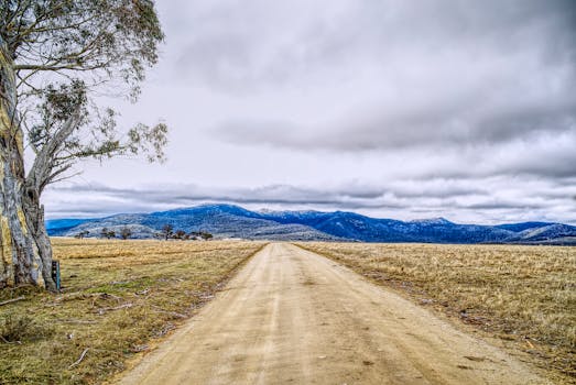 pexels-photo-31754103