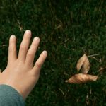 pexels-photo-31947938