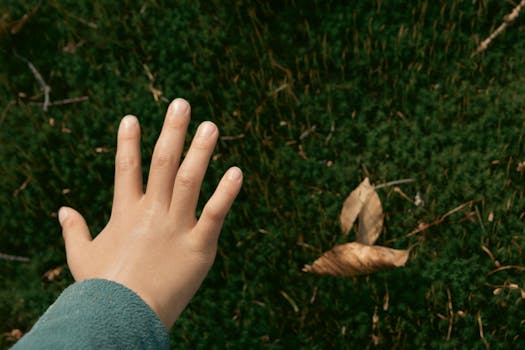 pexels-photo-31947938