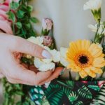 pexels-photo-32069252