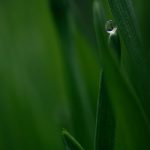 pexels-photo-4450179