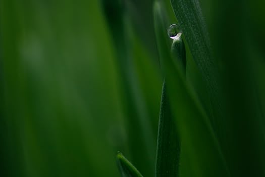 pexels-photo-4450179