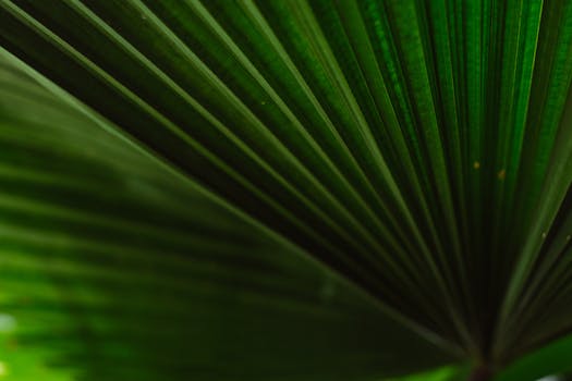 pexels-photo-4955089