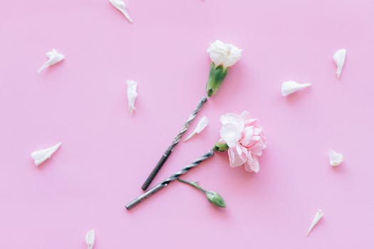 pexels-photo-5642109