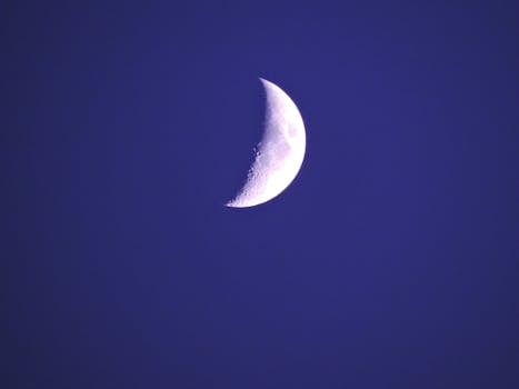 pexels-photo-599928