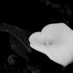 pexels-photo-8104574