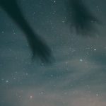 pexels-photo-8360544