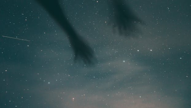 pexels-photo-8360544
