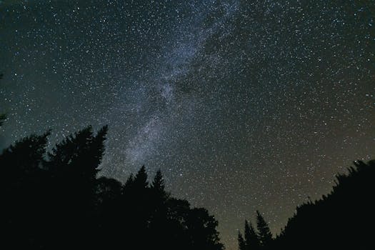 pexels-photo-8495470