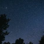 pexels-photo-8495479