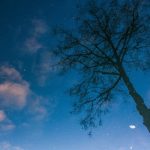 pexels-photo-8628941
