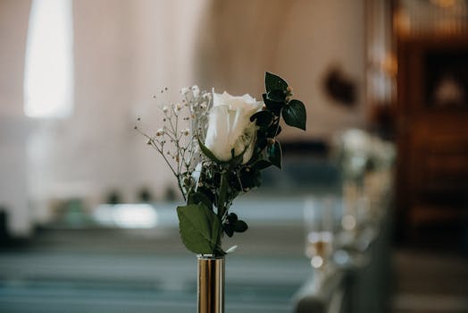 pexels-photo-9078662