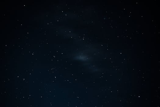 pexels-photo-17981969