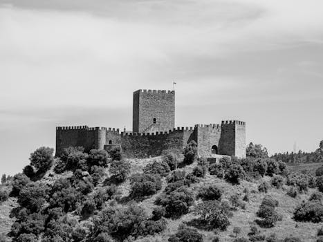 pexels-photo-25308905