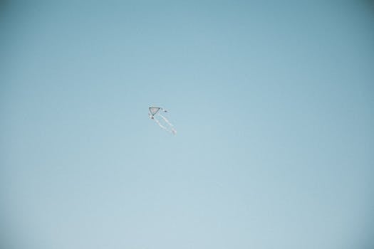 pexels-photo-27913353