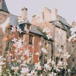 pexels-photo-4916148
