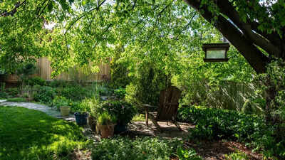 cover-image-105149